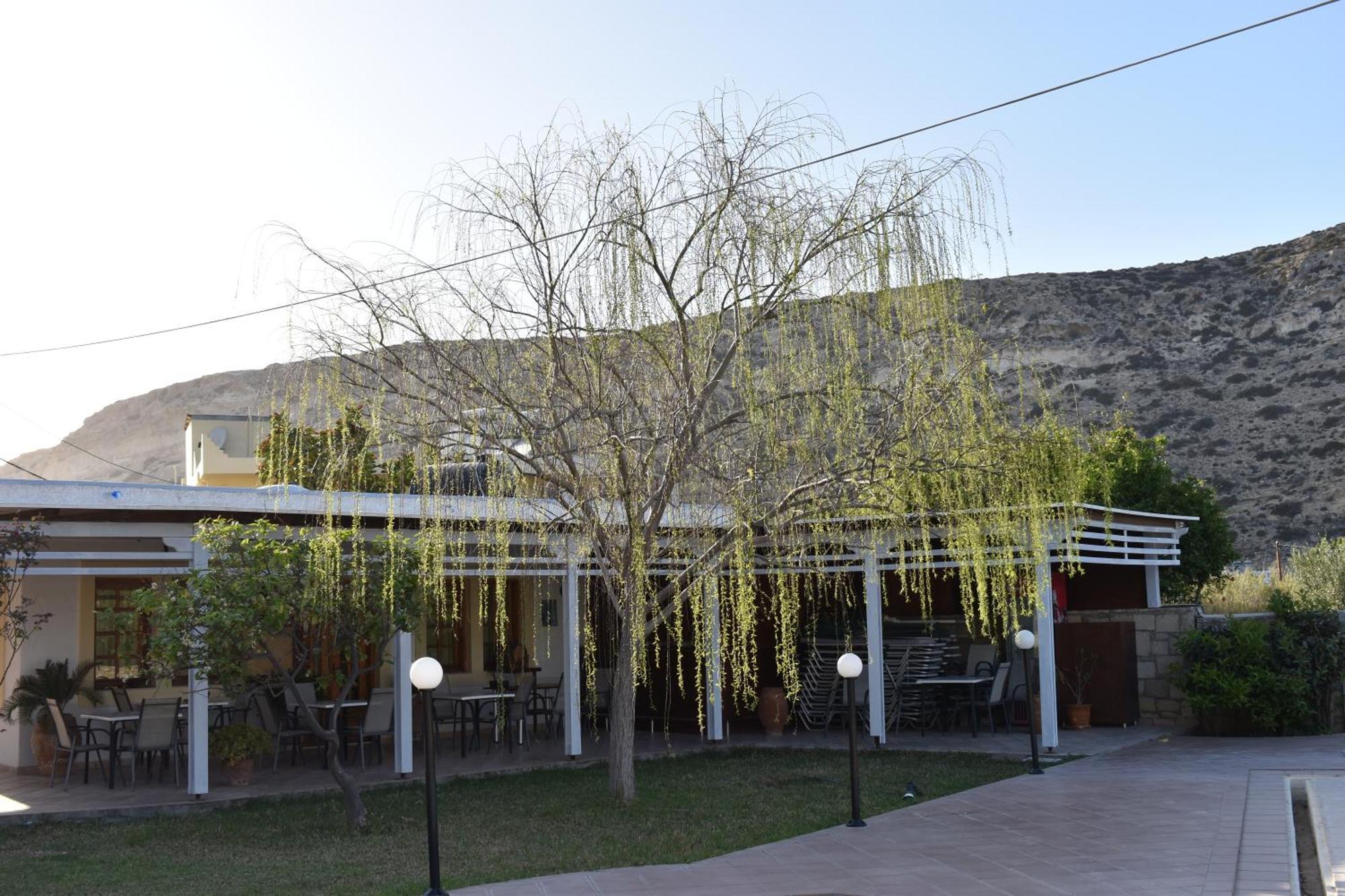 Dimitris Villa Hotel Matala Dış mekan fotoğraf